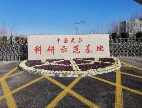 1631062691354425.png image.png