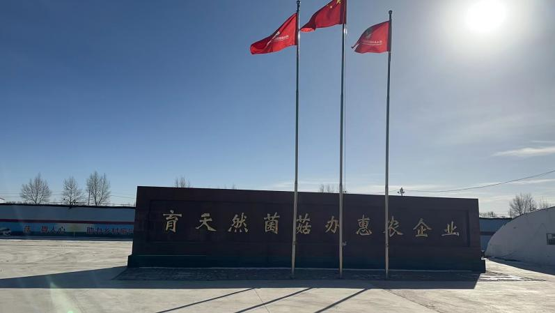 纽恩泰空气能精准控温，助力大棚食用菌丰产增收